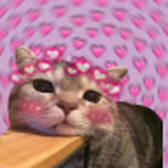 Meet your Posher, Toriel - Picture 1 of 1